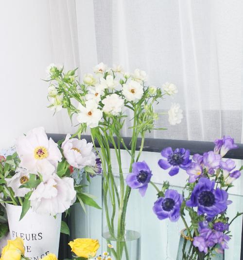 《以针垫花花语与养护指南》（了解针垫花的含义和正确养护方法）