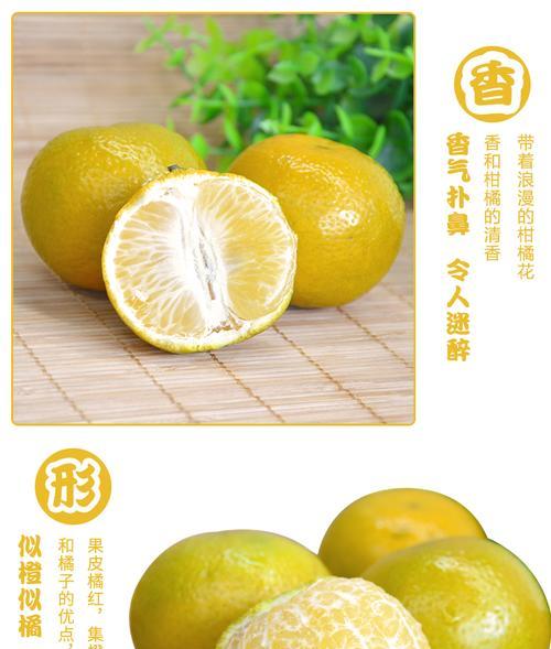 皇帝柑到底是热性还是凉性（解析皇帝柑的性质及食用方法）