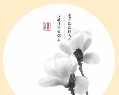 白兰花的花语与寓意（纯洁）