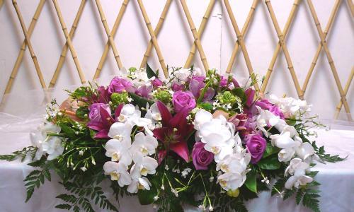 以笑靥花为纽带，传递开朗与喜悦（花开笑脸）