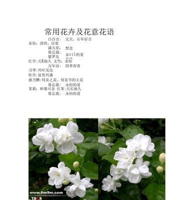 米兰花语的含义及象征（探索米兰花语的深层意义）