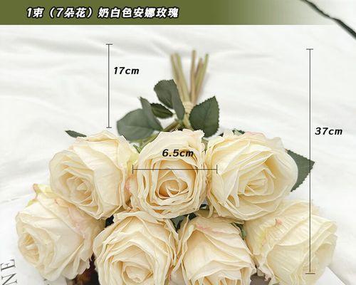 七朵玫瑰的象征意义与传说（探索七朵玫瑰所代表的美丽和神秘）