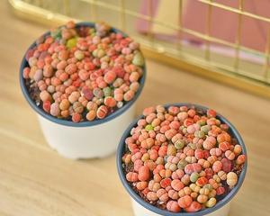 生石花花语之美——深情永恒（探索生石花的含义及传承之美）
