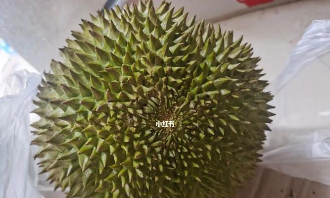 四季皆香榴莲（寻找最好吃的品种）