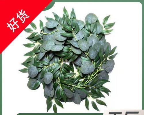探秘柳叶的形状之美（从叶子的形态到生长习性）