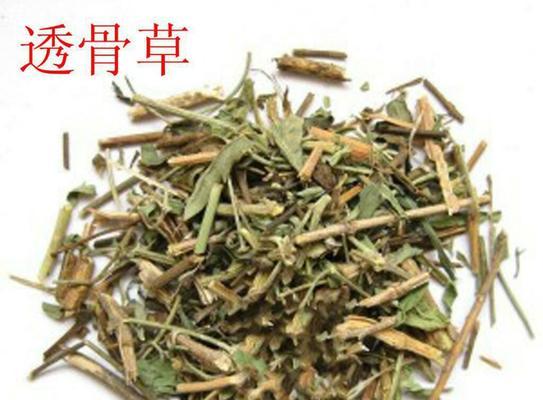 探秘龙骨草的神奇功效（解锁龙骨草的营养秘密）