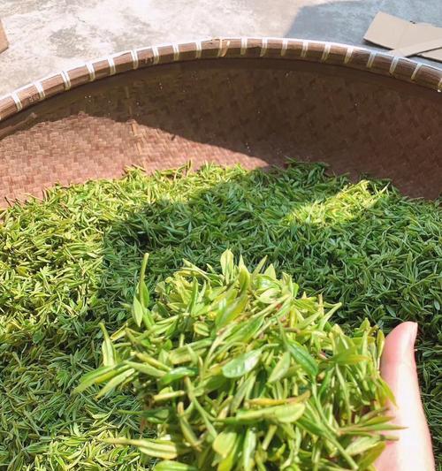 龙井产地——西湖一隅（探秘中国最著名的绿茶产地）