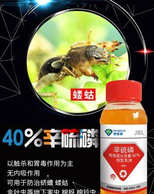石榴钻心虫防治方法大揭秘（掌握这些方法）