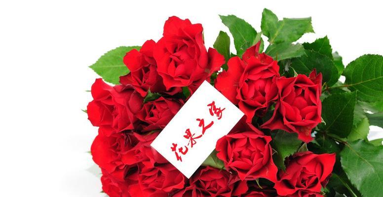 红色玫瑰花语的美丽意义（探秘红玫瑰的爱情）