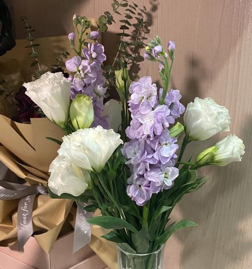 绿色桔梗花的花语与寓意（揭秘绿色桔梗的秘密）