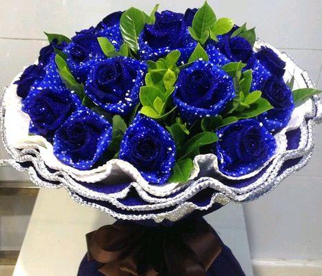 玫瑰花蓝色妖姬（深入解读蓝色妖姬玫瑰花的意义）