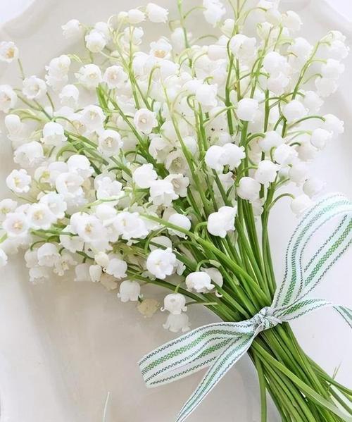铃兰花语大全（探索铃兰花的花语）