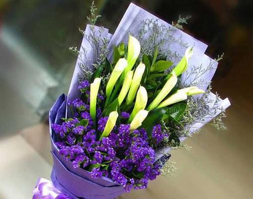 以代表复合的花送什么花表示求复合（深情告白）