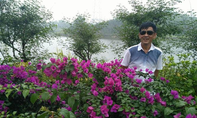 花开兄妹情（绽放在岁月里的温情和陪伴）