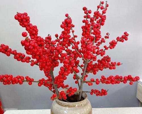 冬青开花，带来生机与希望（冬青花语及象征意义的解读）