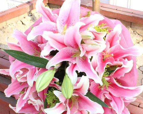 粉百合花语的深刻寓意与美丽祝福（探索粉百合代表的花语和象征）
