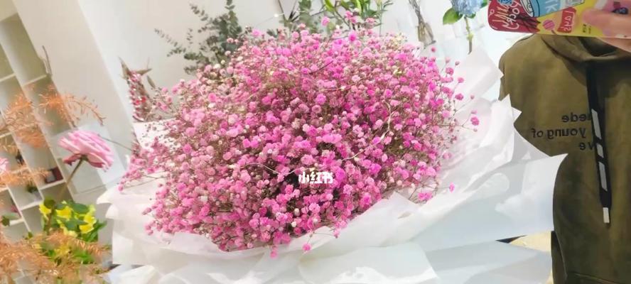 粉色满天星的花语与寓意（探索这朵粉色星辰的花海奇迹）