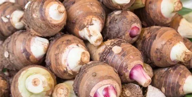 芋头能否放冰箱（寻找芋头的最佳保存方法）