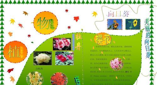 荷兰郁金香花期解析（探秘荷兰郁金香的盛开时节）