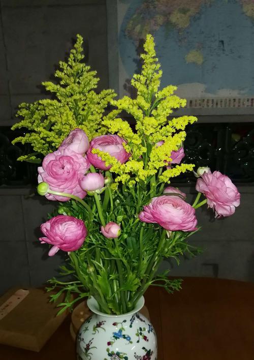 洋牡丹花语（洋牡丹花语的深层寓意与传承）