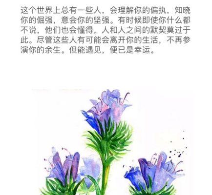 杜若的花语与寓意（婉约高贵）