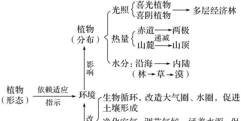 如何优化节白蜡种植土壤（探讨节白蜡配土方法及其应用）