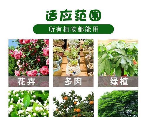 果树浇水的正确方式——关于多菌灵的使用（果树养护的重要性与多菌灵的作用）