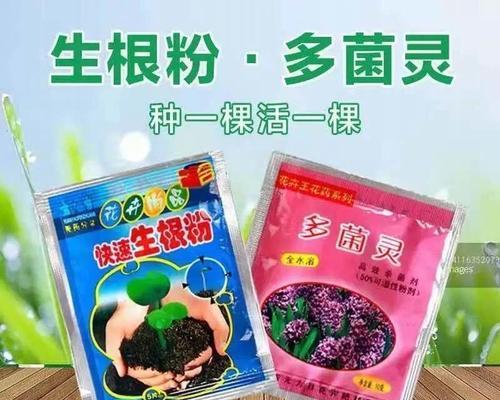 果树浇水的正确方式——关于多菌灵的使用（果树养护的重要性与多菌灵的作用）