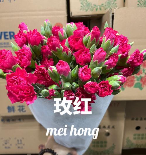 多头康乃馨代表什么？购买时需要注意哪些问题？