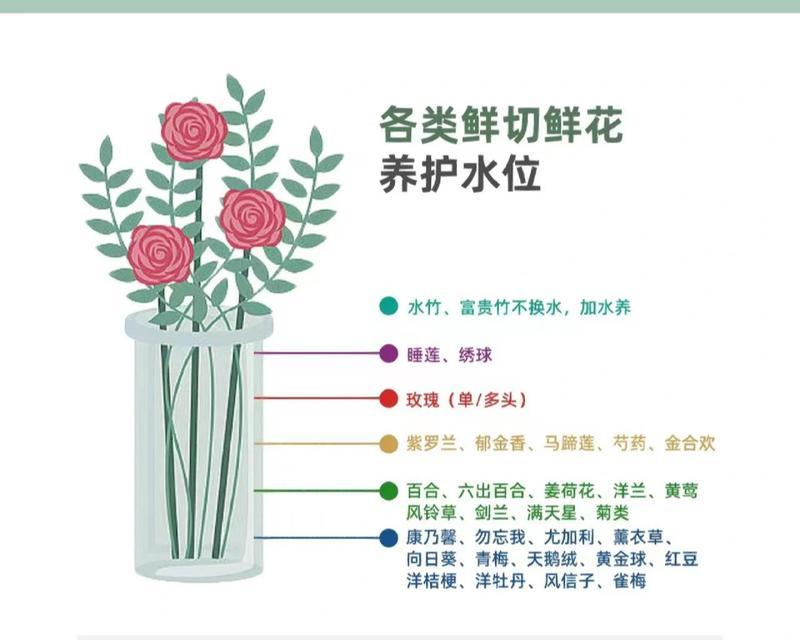 龙骨换土的最佳时间是什么时候？具体步骤有哪些？