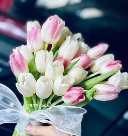粉郁金香花语是什么？如何正确表达爱意？
