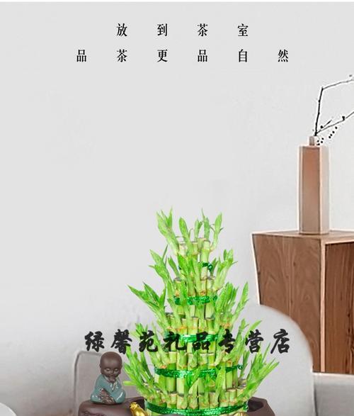 富贵竹塔几层寓意最好？如何摆放提升风水？