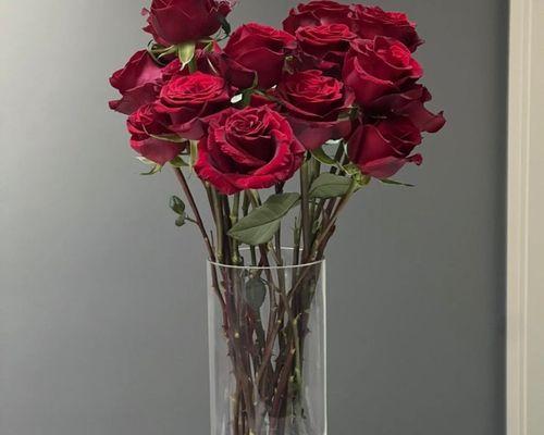 黑魔术玫瑰代表什么意思？花语背后的故事是什么？