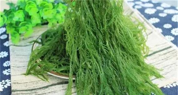 龙须菜还有哪些别名？购买时如何辨别真伪？