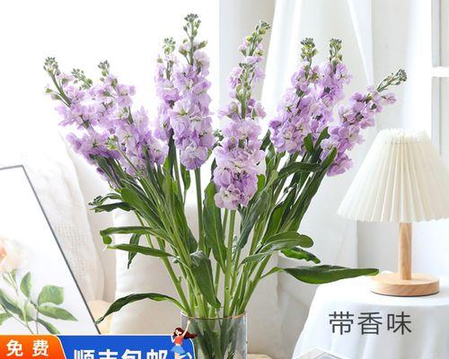 紫罗兰的花语是什么？花卉紫罗兰代表了哪些含义？