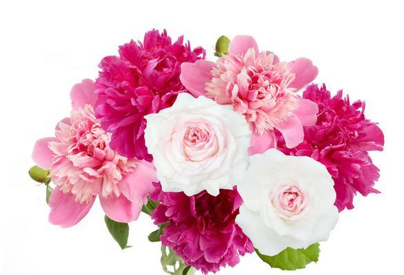 花瓶里插枝牡丹寓意是什么？如何正确插枝？