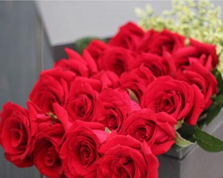 100朵玫瑰代表什么意思？花语背后的浪漫含义是什么？