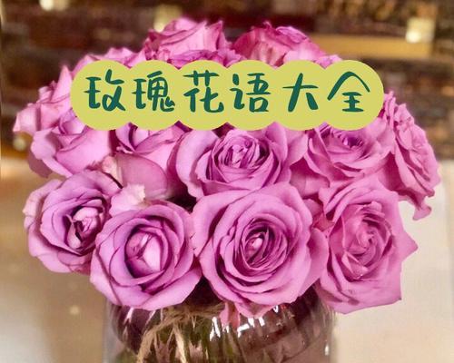 金香玉玫瑰代表什么意思？花语有哪些含义？