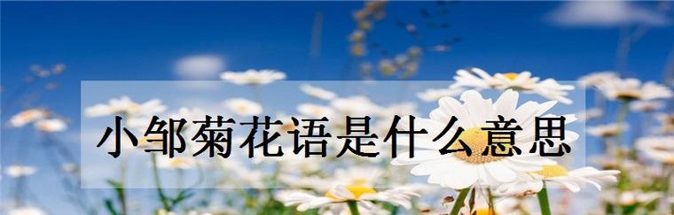 菊花代表什么？菊花的花语和象征意义有哪些？