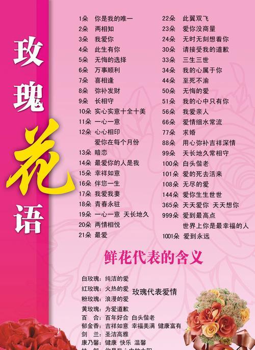 狂欢泡泡玫瑰花语是什么意思？如何正确解读？