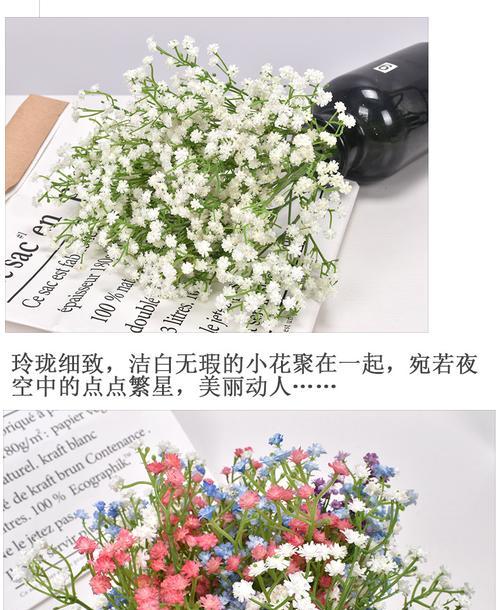 满天星的象征是什么？满天星花语有哪些含义？