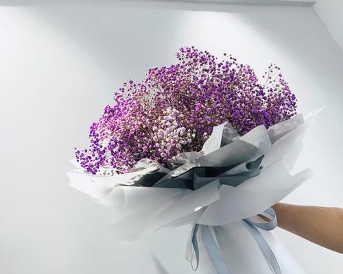 满天星的象征意义是什么？如何正确解读满天星的花语？