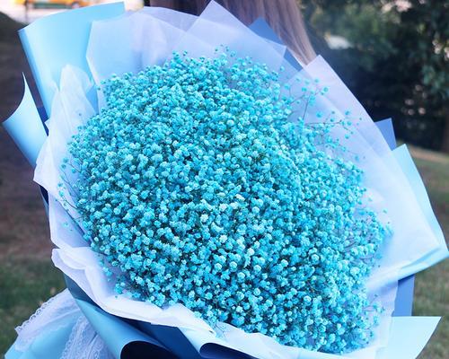 满天星鲜花代表什么含义？如何正确使用满天星花语？