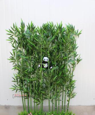 楼顶种植竹子的可行性与注意事项？