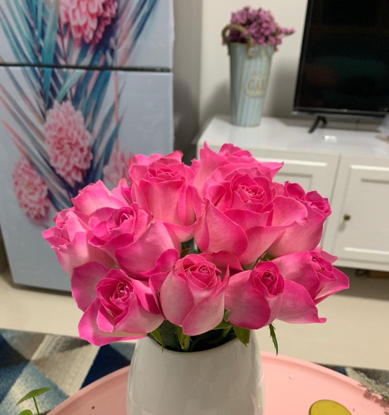 苏醒玫瑰花语是什么？如何表达爱意？