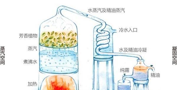 芦荟花土怎么选？配制方法有哪些常见问题？