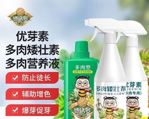 芦荟徒长了怎么办？如何修剪和恢复健康生长？