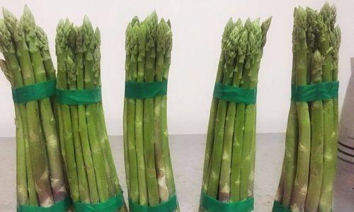 芦笋搭配禁忌有哪些？一起食用会有什么后果？