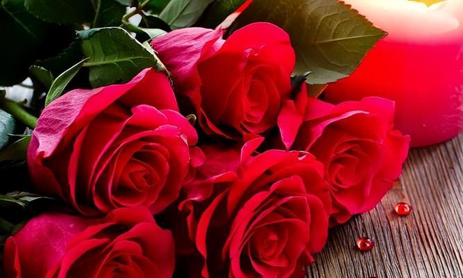八朵红玫瑰花代表什么？如何正确读出其花语？