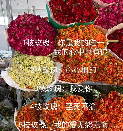 27朵玫瑰加两朵百合的含义是什么？